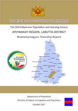 AYEYAWADY REGION, LABUTTA DISTRICT Mawlamyinegyun Township Report
