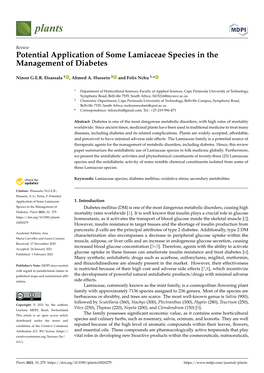 Potential Application of Some Lamiaceae Species in the Management of Diabetes