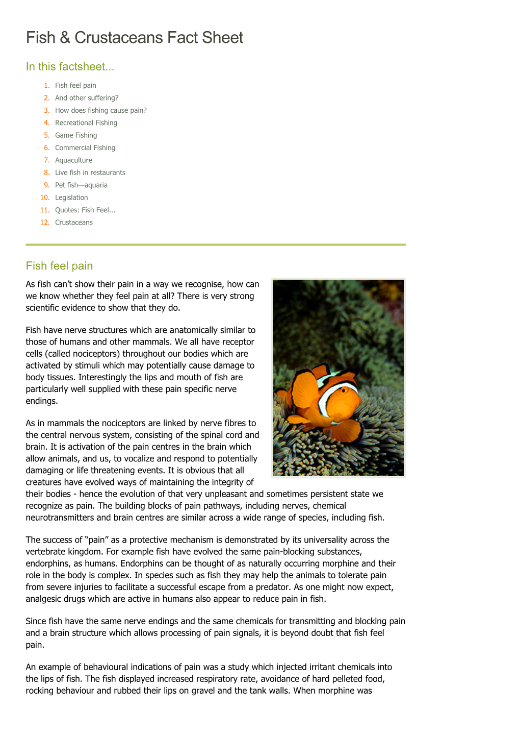 Fish & Crustaceans Fact Sheet // Animals Australia