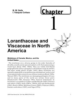 Loranthaceae and Viscaceae in North America