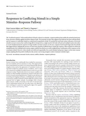 Responses to Conflicting Stimuli in a Simple Stimulus–Response Pathway