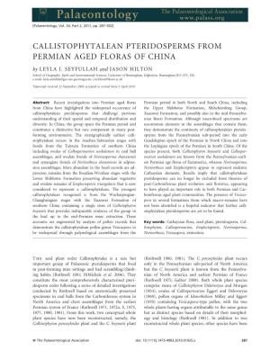CALLISTOPHYTALEAN PTERIDOSPERMS from PERMIAN AGED FLORAS of CHINA by LEYLA J