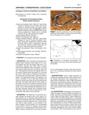 AMPHIBIA: GYMNOPHIONA: CAECILIIDAE Oscaecilia Ochrocephala