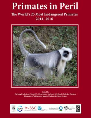 Primates in Peril the World’S 25 Most Endangered Primates 2014–2016