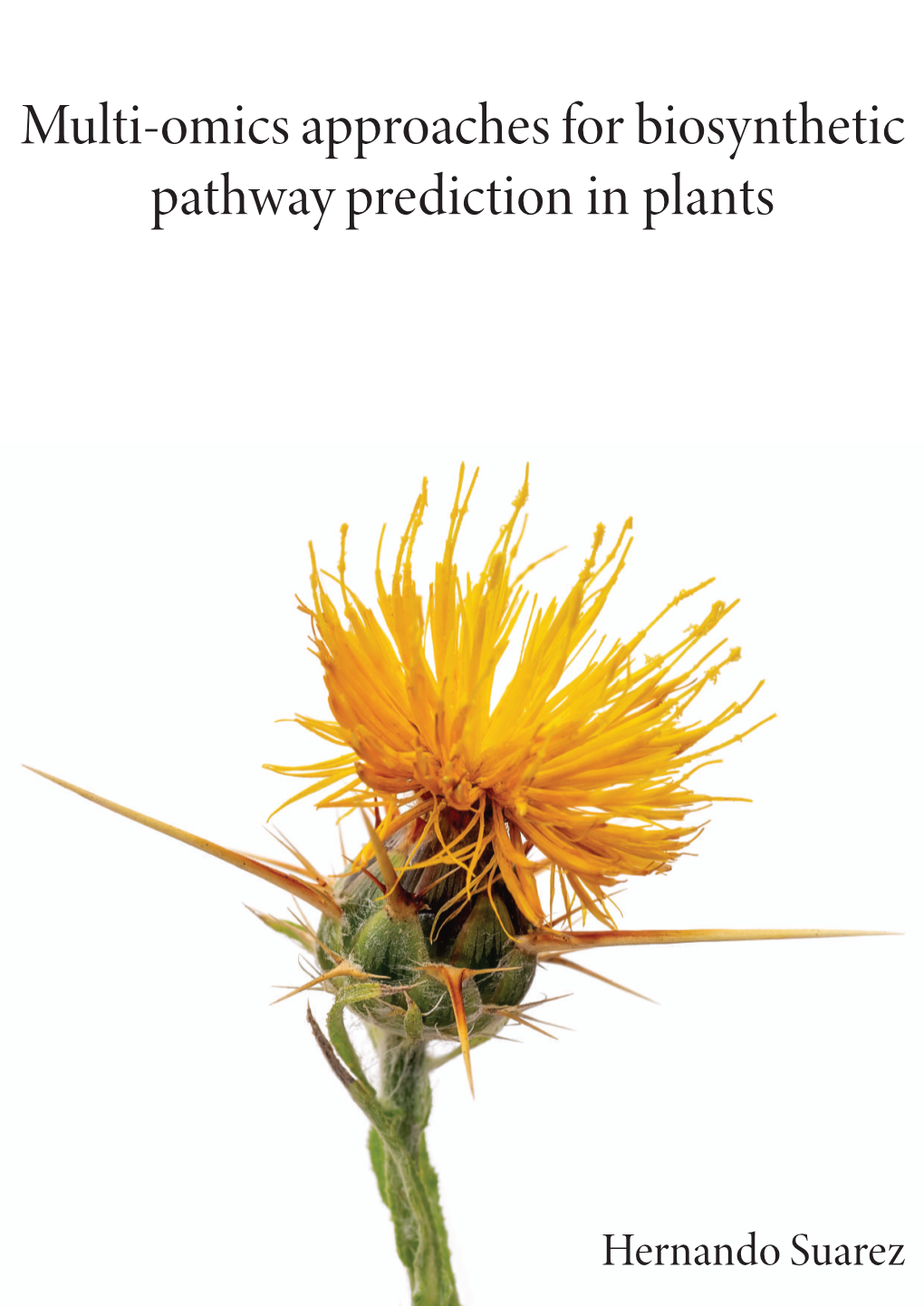 Multi-Omic Approaches for Biosynthetic Pathway Prediction in Plants