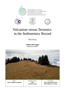 Volcanism Versus Tectonics in the Sedimentary Record