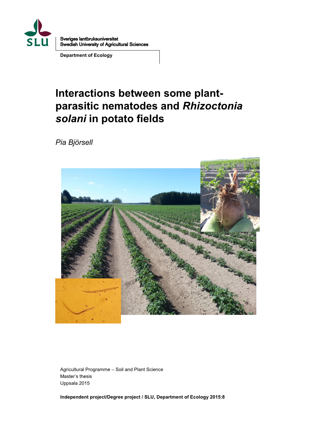 Parasitic Nematodes and Rhizoctonia Solani in Potato Fields