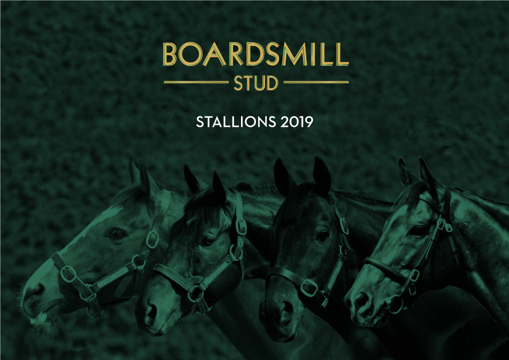 Stallions 2019