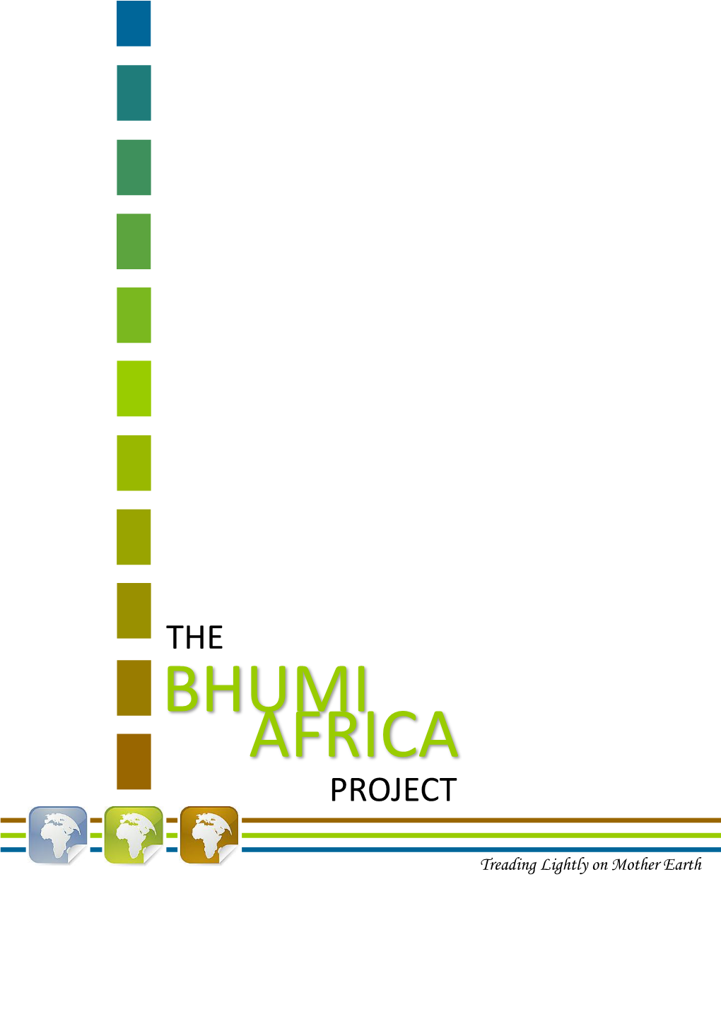 Bhumi Africa Project