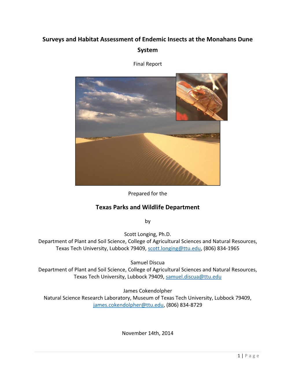 Surveys and Habitat Assessment of Endemic Insects at the Monahans Dune System