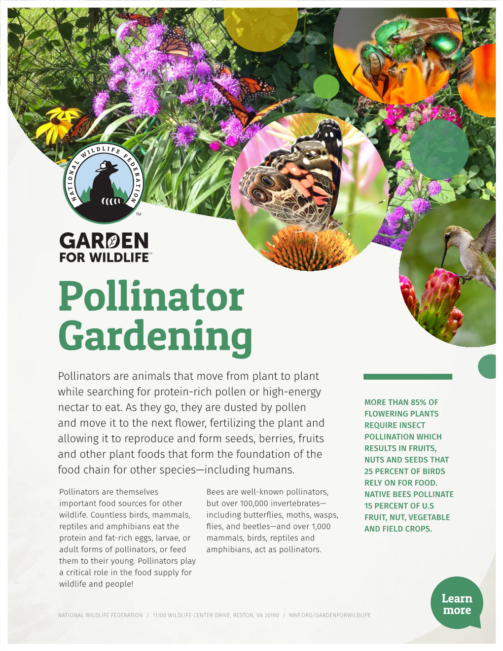 Pollinator Gardening