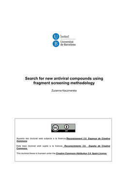 Search for New Antiviral Compounds Using Fragment Screening Methodology