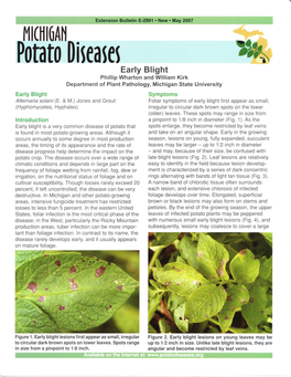 Potato Di~Ea~E~ Early Blight Phillip Wharton and William Kirk Department of Plant Pathology, Michigan State University Early Blight Symptoms Alternaria Solani (E