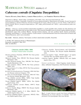 Cabassous Centralis (Cingulata: Dasypodidae)