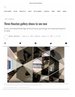 Three Houston Gallery Shows to See Now