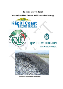 Te Horo Gravel Beach Interim Pest Plant Control and Restoration Strategy