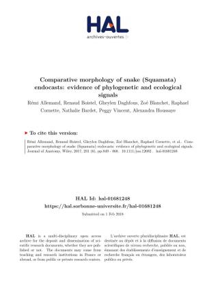 Comparative Morphology of Snake (Squamata) Endocasts: Evidence Of