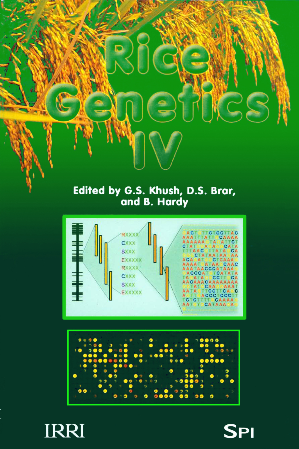 Rice Genetics IV