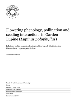 Flowering Phenology, Pollination and Seeding Interactions in Garden