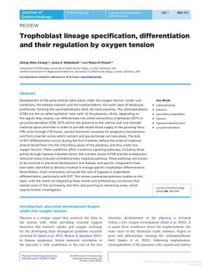 Trophoblast Lineage Specification, Differentiation and Their Regulation by Oxygen Tension