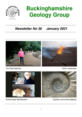 Newsletter: Jan. 2021