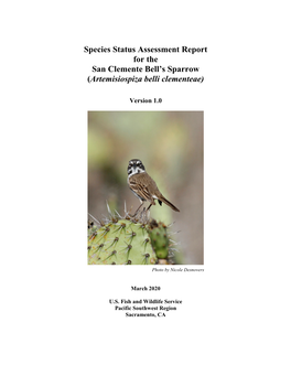 Species Status Assessment Report for the San Clemente Bell’S Sparrow (Artemisiospiza Belli Clementeae)