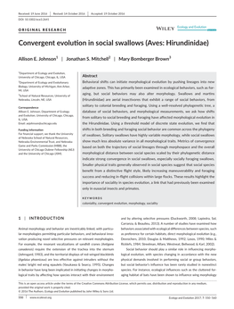 Convergent Evolution in Social Swallows (Aves: Hirundinidae)