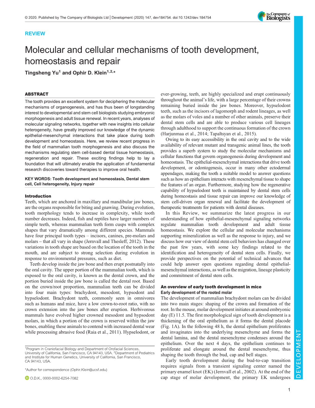 Molecular and Cellular Mechanisms of Tooth Development, Homeostasis and Repair Tingsheng Yu1 and Ophir D