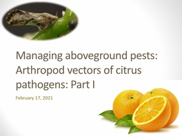 Managing Aboveground Pests: Arthropod Vectors of Citrus Pathogens: Part I February 17, 2021 Lecture Overview