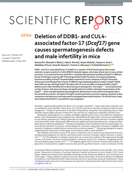 Deletion of DDB1- and CUL4- Associated Factor-17 (Dcaf17) Gene
