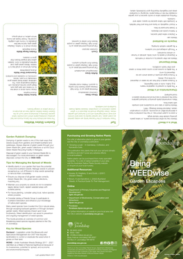 Being Weedwise Garden Escapees Weed Guide
