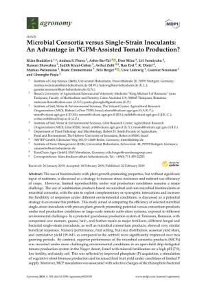 Microbial Consortia Versus Single-Strain Inoculants: an Advantage in PGPM-Assisted Tomato Production?