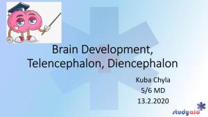 Brain Development, Telencephalon, Diencephalon Kuba Chyla 5/6 MD 13.2.2020 Neurulation