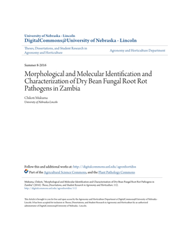 Morphological and Molecular Identification and Characterization of Dry Bean Fungal Root Rot Pathogens in Zambia Chikoti Mukuma University of Nebraska-Lincoln