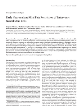 Early Neuronal and Glial Fate Restriction of Embryonic Neural Stem Cells