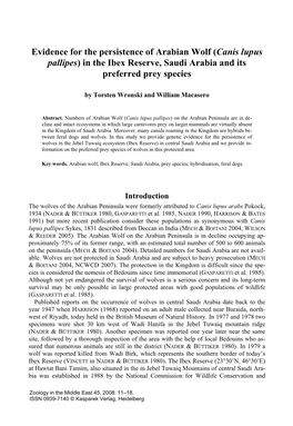 Evidence for the Persistence of Arabian Wolf (Canis Lupus Pallipes) in the Ibex Reserve, Saudi Arabia and Its Preferred Prey Species