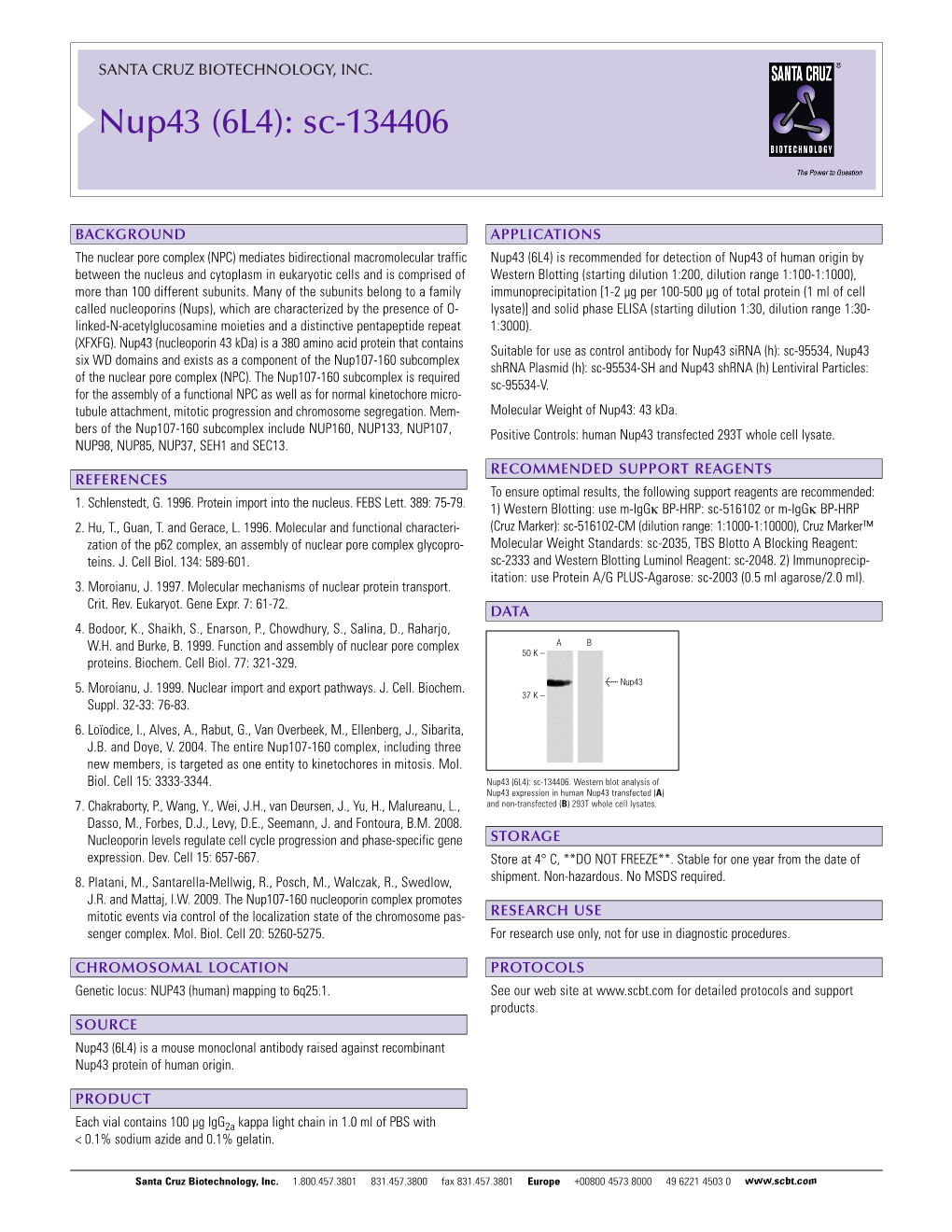 Datasheet Blank Template