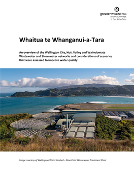 Whaitua Te Whanganui-A-Tara