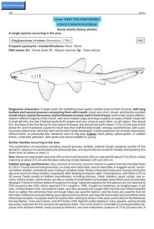 Order ORECTOLOBIFORMES GINGLYMOSTOMATIDAE Nurse Sharks (Tawny Sharks) a Single Species Occurring in the Area
