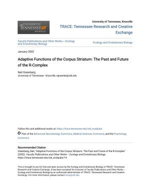 Adaptive Functions of the Corpus Striatum: the Past and Future of the R-Complex