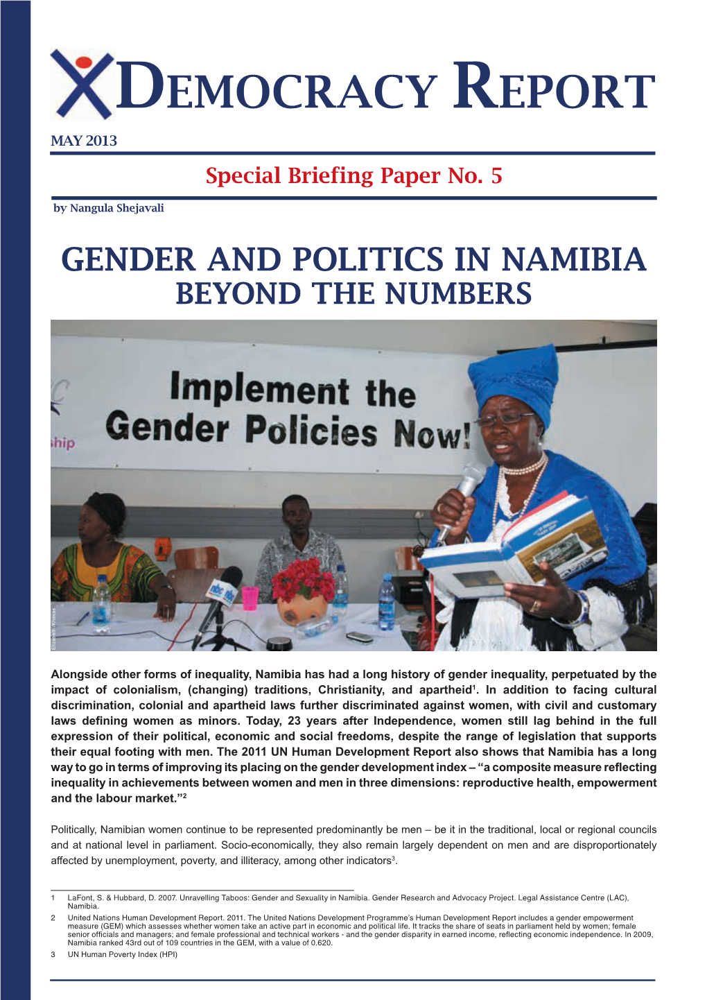 Democracy Report MAY 2013 Special Briefing Paper No