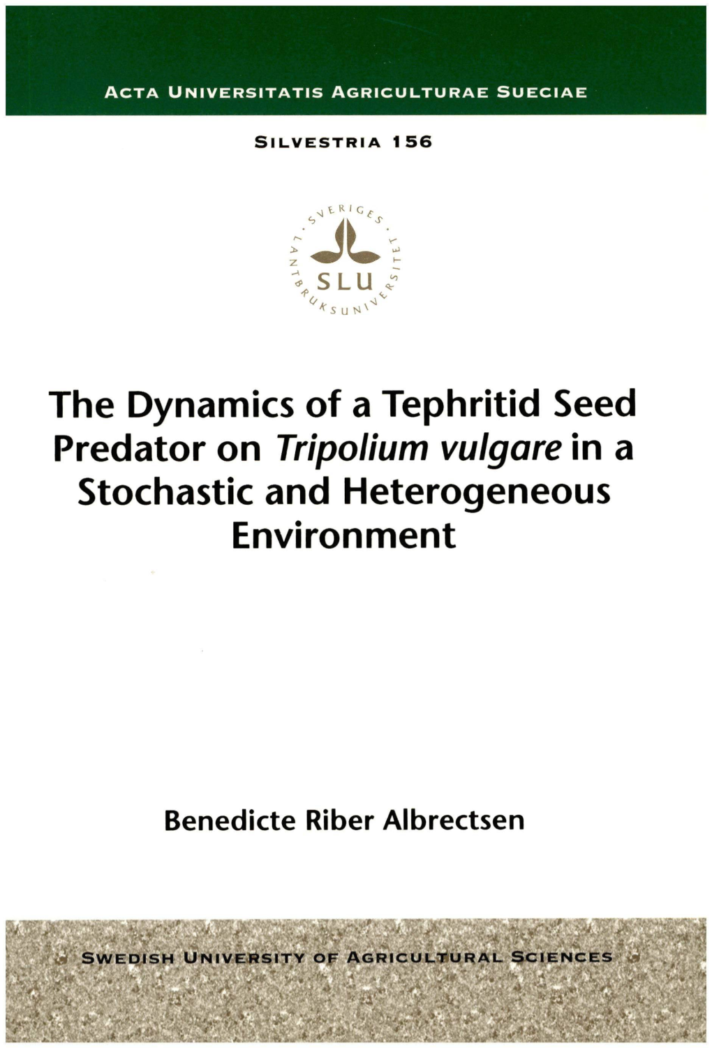 The Dynamics of a Tephritid Seed Predator on Tripolium Vulgare in a Stochastic and Heterogeneous Environment