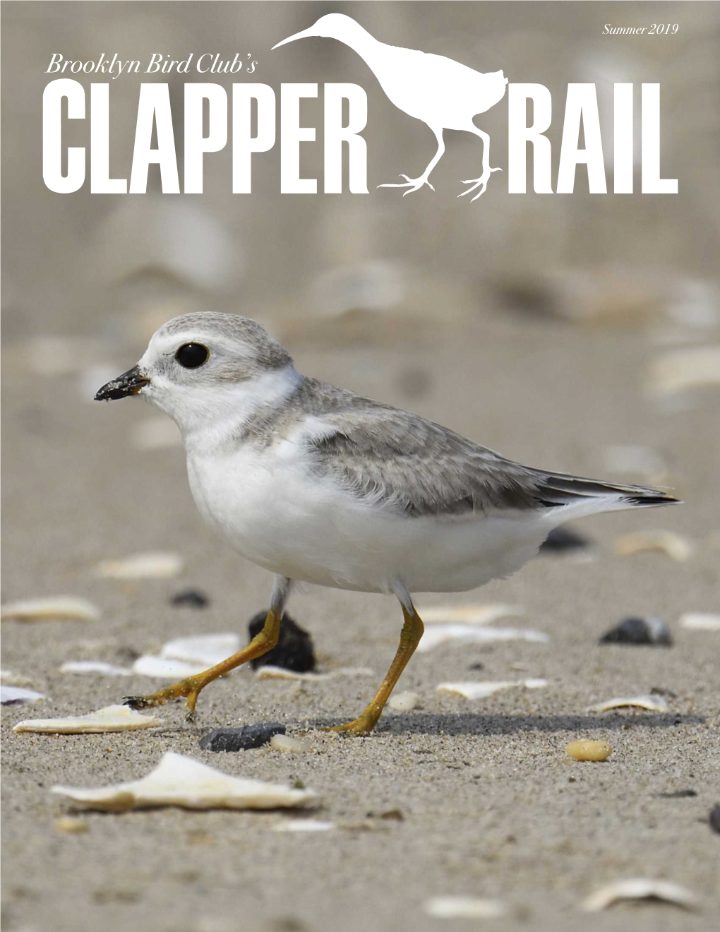 Summer 2019 Brooklyn Bird Club’S the Clapper Rail Summer 2019 Inside This Issue