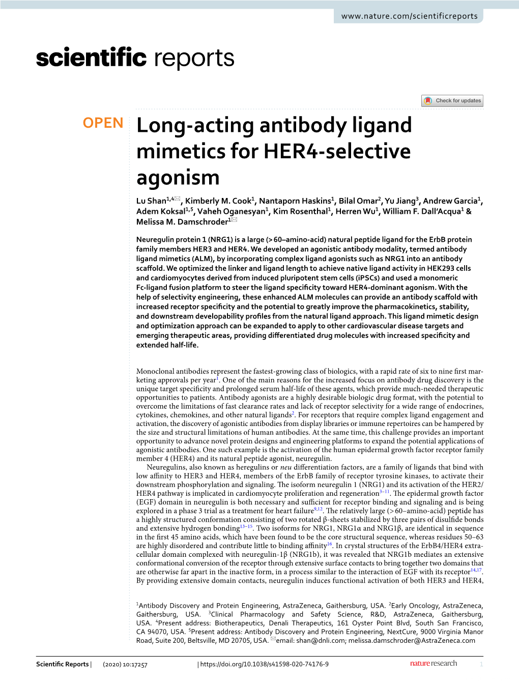 Long-Acting Antibody Ligand Mimetics for HER4-Selective Agonism