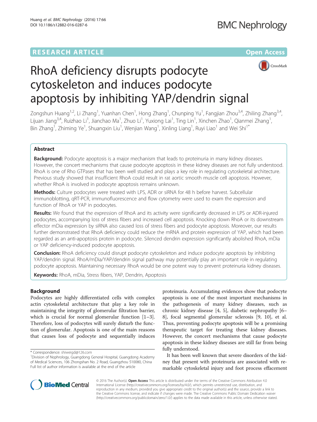 Rhoa Deficiency Disrupts Podocyte Cytoskeleton and Induces Podocyte Apoptosis by Inhibiting YAP/Dendrin Signal