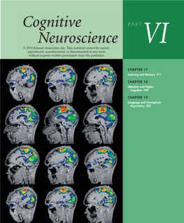 Cognitive Neuroscience