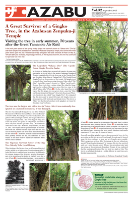 A Great Survivor of a Gingko Tree, in the Azabusan Zenpuku-Ji Temple