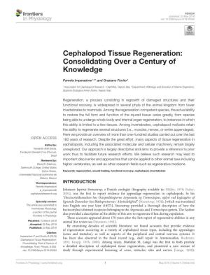 Cephalopod Tissue Regeneration: Consolidating Over a Century of Knowledge