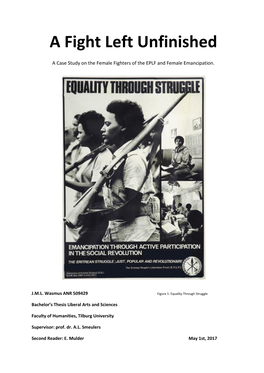 A Fight Left Unfinished. a Case Study on the Female Fighters of the EPLF and Female Emancipation