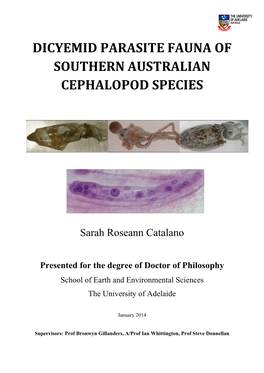 Dicyemid Parasite Fauna of Southern Australian Cephalopod Species